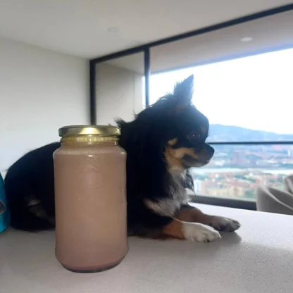 Caldo de hueso para perros y gatos